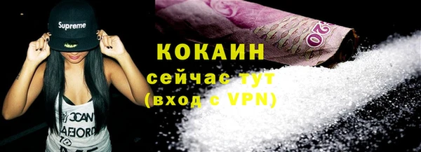 мдпв Пересвет