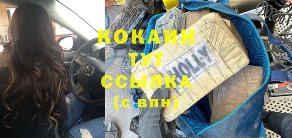 мдпв Пересвет