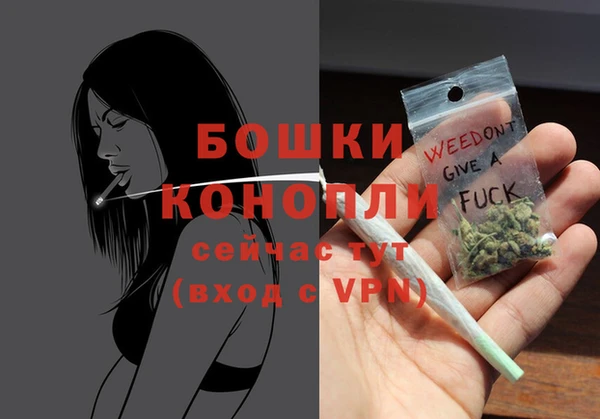 мдпв Пересвет