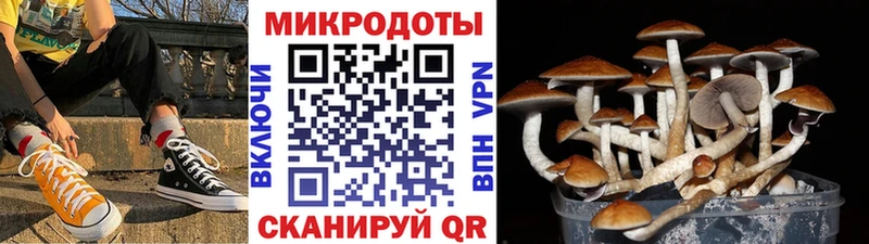 Галлюциногенные грибы мицелий купить наркотик Полысаево